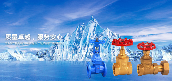 寧波日安閥門有限公司（sī）