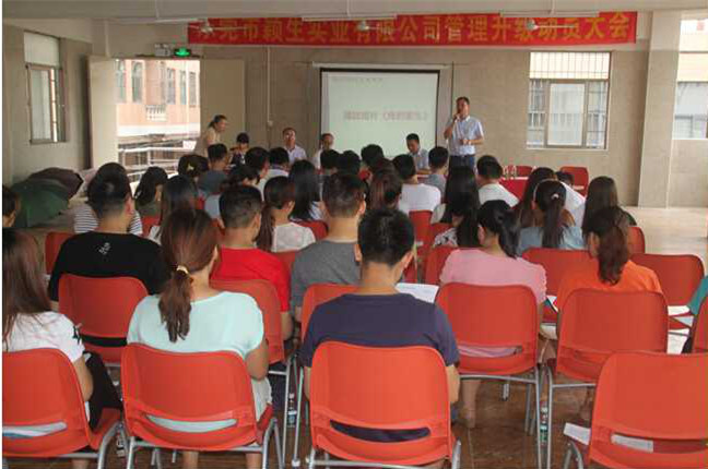 2015年6月1日（rì）—至今（jīn）東莞市穎生實業有（yǒu）限公司推行全麵管理升級