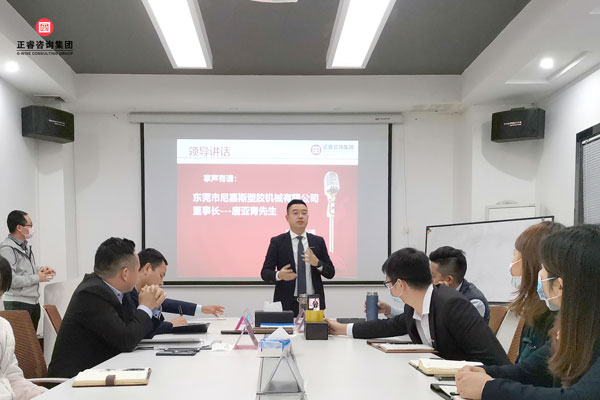 尼嘉（jiā）斯集團唐亞青董事長