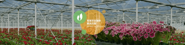 深圳市（shì）朗文科技實業有限公司