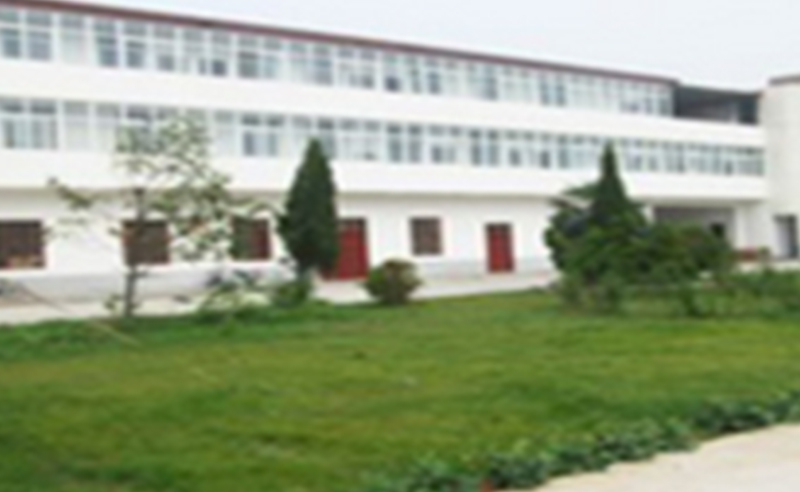 2011年3月漯河市中聯電磁線有限公（gōng）司推行全麵管理升級