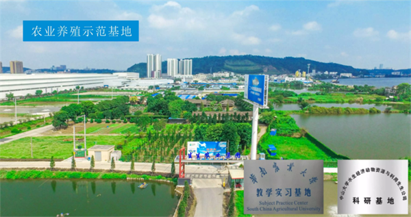 生生農業集團股份有限公司戰略梳理&組織規劃項目啟（qǐ）動