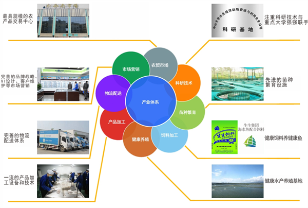生生（shēng）農業集團股份有限公司（sī）戰略梳理&組織規劃項目啟動