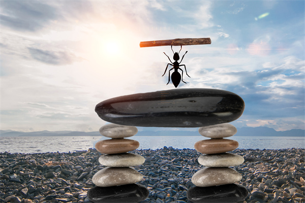 企業（yè）文化要落（luò）地