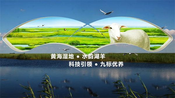 江蘇（sū）乾（qián）寶牧（mù）業有限公司