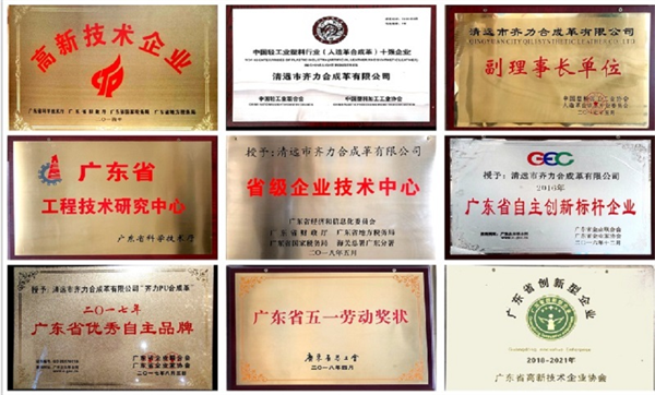 清遠市齊力合成革有限公司部分（fèn）榮譽展示