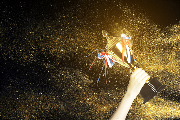 薪酬（chóu）績效谘詢如何促進企業（yè）文化和價值觀的落實？