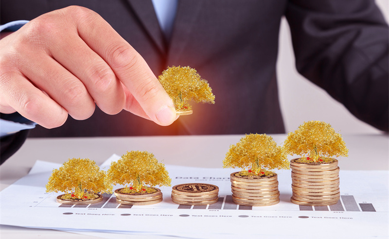 業績管理與績效評估、薪酬管（guǎn）理（lǐ）和職業發展之間的關係