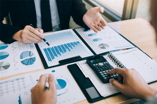 企業預算管理谘詢公司