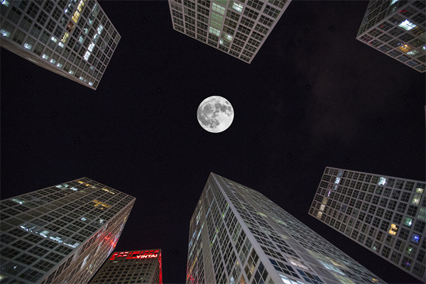 「營銷管理谘詢」解鎖社交媒體的力量，讓品牌騰（téng）飛！