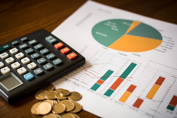 強化集團（tuán）管控：財（cái）務，人力資源，信息技術的整合