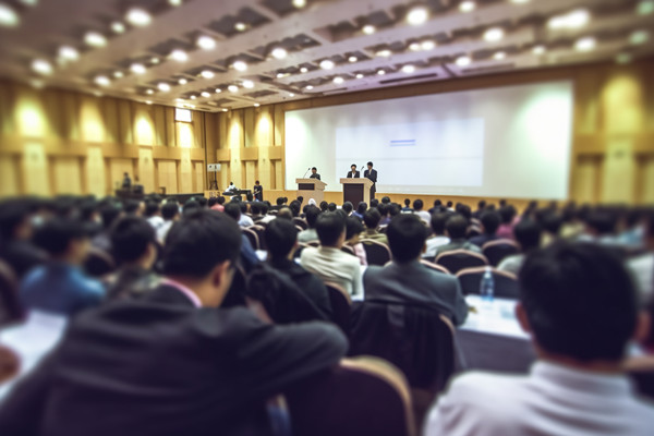 領導（dǎo）力發展：培養具有影響力的人力資源管理