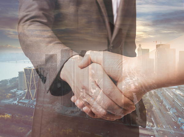 風（fēng）險管理（lǐ）谘詢：企業穩定發展的保障（zhàng）