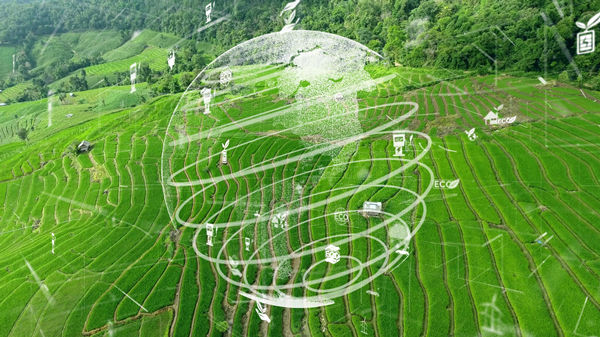 製定年度經營計劃：實現可持續發展（zhǎn）目標