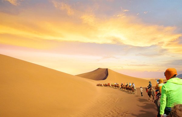 理論（lùn）與實踐的完美結合：深入解析企業管理的奧秘