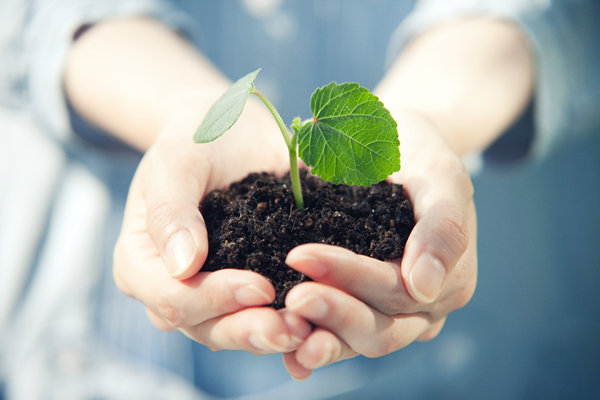 企業管理中的（de）社會責任（rèn）：構建可持（chí）續發展的商業模式