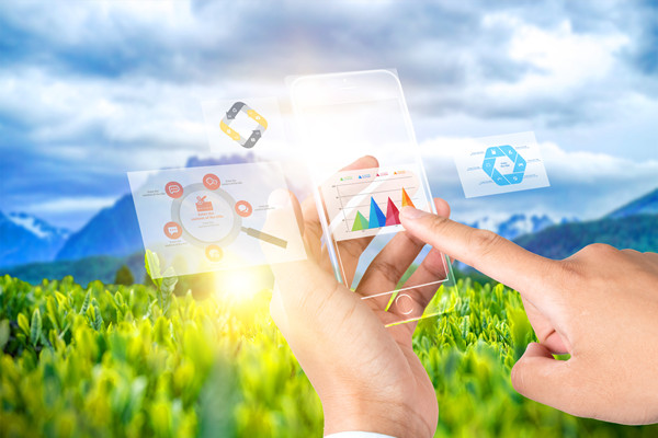 供（gòng）應鏈管理：打造高效、靈（líng）活與可持續的供應鏈網絡