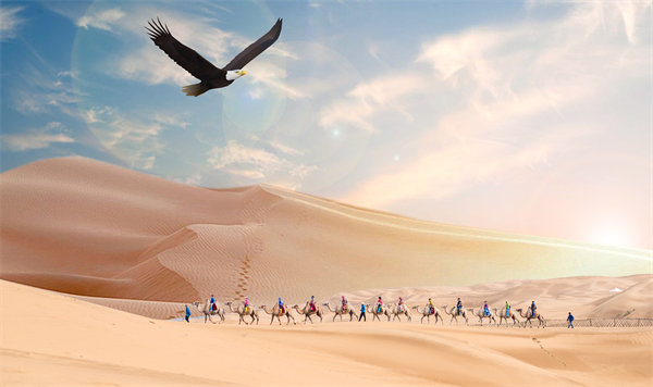 集團管控升（shēng）級（jí）迭代，激發企業活力，實現持續領先