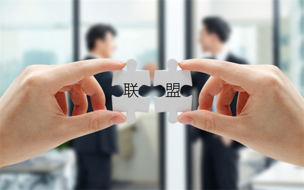 戰（zhàn）略聯盟與合作：強強聯手（shǒu），共創未來（lái）