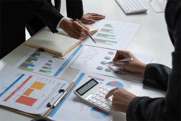 預算管理策略：優化資源配置，提升（shēng）企業財務（wù）效能