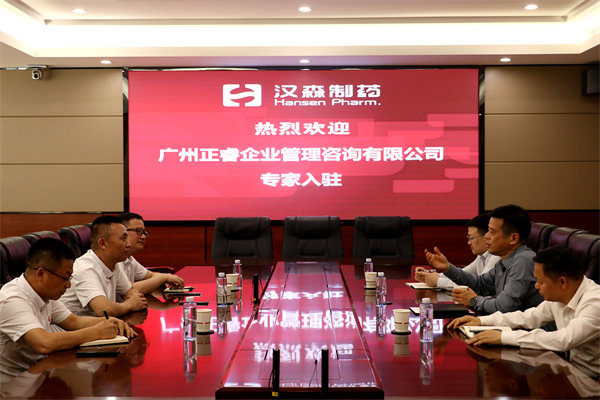 湖南漢森製藥（yào）股份有限公司精益營銷管理升級項（xiàng）目啟（qǐ）動