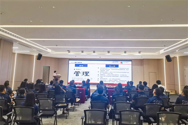 廣東飛翔雲計算有限公司組織設計&人力資源管理升（shēng）級項目圓滿成功