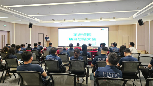 廣（guǎng）東飛（fēi）翔（xiáng）雲計算有限公司組織設計&人力資源管理升級（jí）項目圓（yuán）滿成功