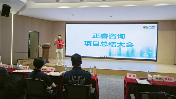 廣東飛翔雲計算有限公司組織設計&人力資（zī）源管理升級項目圓（yuán）滿成功