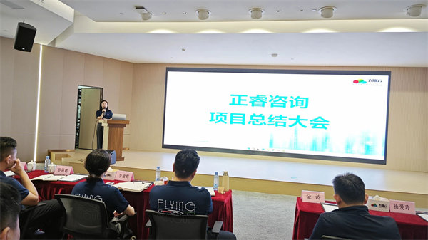 廣東飛翔雲計算有限公司組織（zhī）設計&人力資源管理升級項目圓滿成（chéng）功