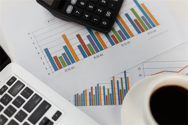 預算管理信息化建設：提升管理效率，降低管理成（chéng）本