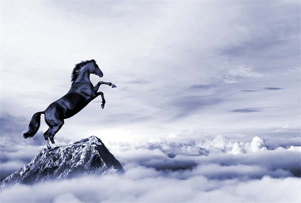 深度整合企（qǐ）業戰（zhàn）略資源，構（gòu）建高效（xiào）運營管理體係