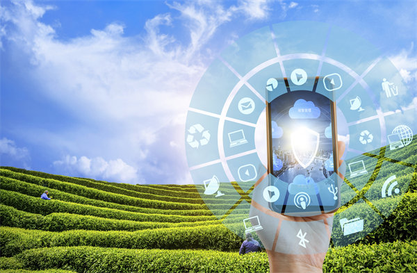 在精益轉型（xíng）中，如何平衡標準化作業與靈活性需求？