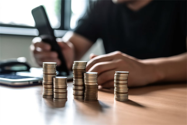 環境快速變化，如何確保預算（suàn）執行（háng）的靈活性和適應性？