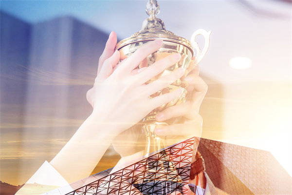 品牌戰略（luè）與企（qǐ）業文化融（róng）合，共築企業品牌價值新高地！