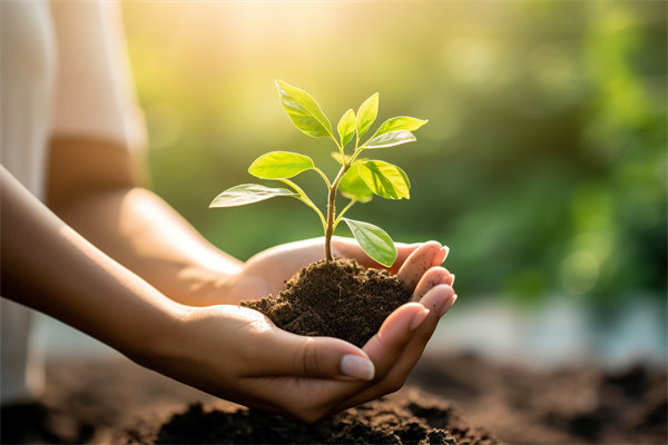 可持續發展成為（wéi）趨（qū）勢，企業如何融入綠色戰略以促增長？