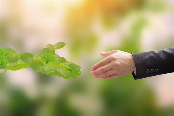 可（kě）持續發（fā）展成為趨勢，企（qǐ）業（yè）如何（hé）融入綠色戰略以促增長（zhǎng）？