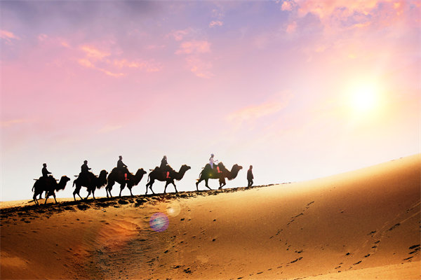 企（qǐ）業文化在人力資源管理中，扮演著怎（zěn）樣的角色？