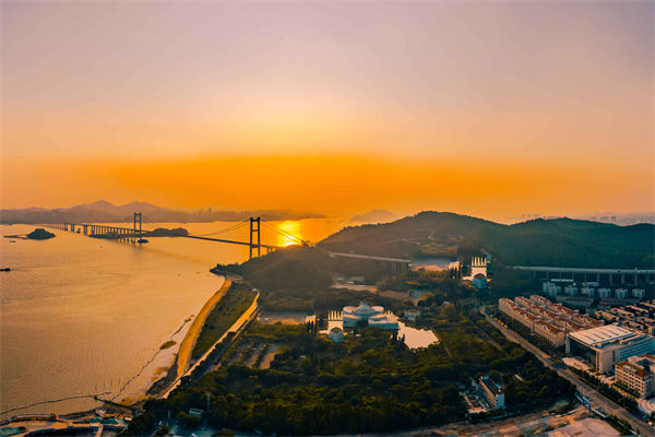 東（dōng）莞供應鏈谘詢公司如何（hé）優化企業供應鏈流程？