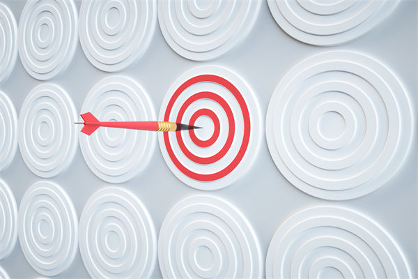 集團戰略（luè）如何通過（guò）有效管控，確保落地執行到位？