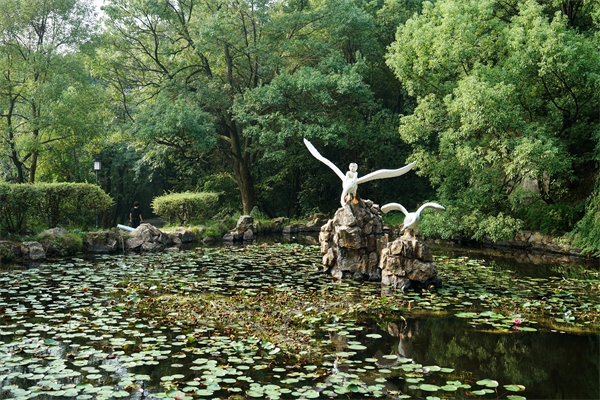 株洲預算管（guǎn）理谘詢公司如何為企業打造精準預算管理體係？