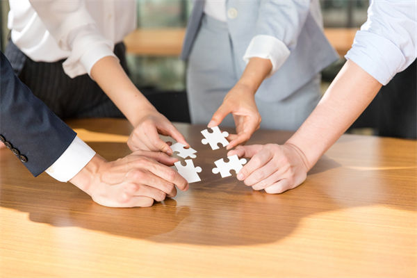 集團多（duō）業態管控棘手，定製化管控方（fāng）案怎樣破局？