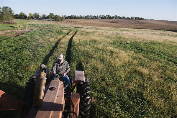 從績效管理（lǐ）角（jiǎo）度分析：中國買巴西大豆讓美國農民慌了
