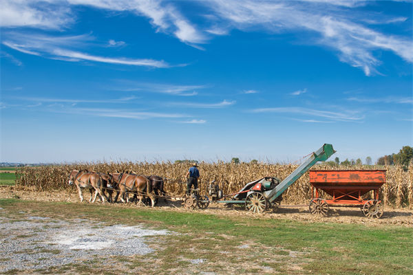從績（jì）效（xiào）管理角度分析：中國買巴西（xī）大豆讓美國（guó）農民慌（huāng）了