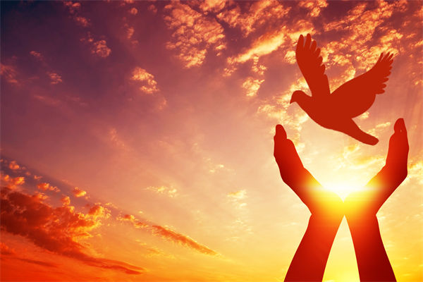 別讓盲卡盲盒“收割”孩子，關聯（lián）企業戰略怎麽看？