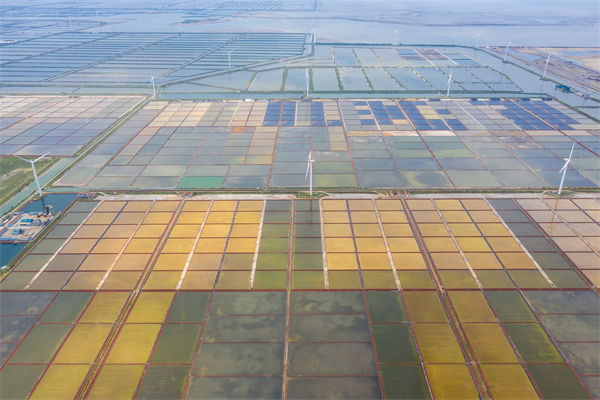 濰坊集團（tuán）子公司失控內耗（hào）嚴重，濰坊（fāng）集團管控谘詢公司如何（hé）重構權責（zé）體係？