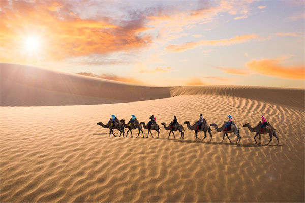 企業文化管理失效？這（zhè）三大認知誤區為（wéi）何拖垮團（tuán）隊？