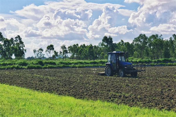 守住耕地（dì）這個命根（gēn）子，從（cóng）精益生產角度分析如何守住（zhù）？