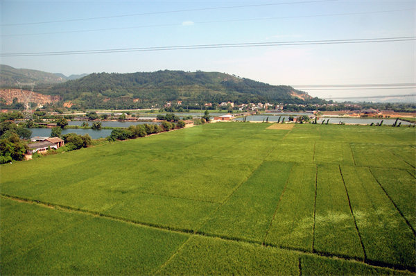 清遠人力資源（yuán）谘詢公司量體（tǐ）裁衣，如何激活企業人才發展新動能？