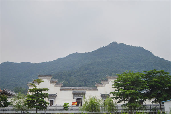 子（zǐ）公司各自為（wéi）戰內耗（hào）大，佛山集團管控谘詢公司有何整合之道？