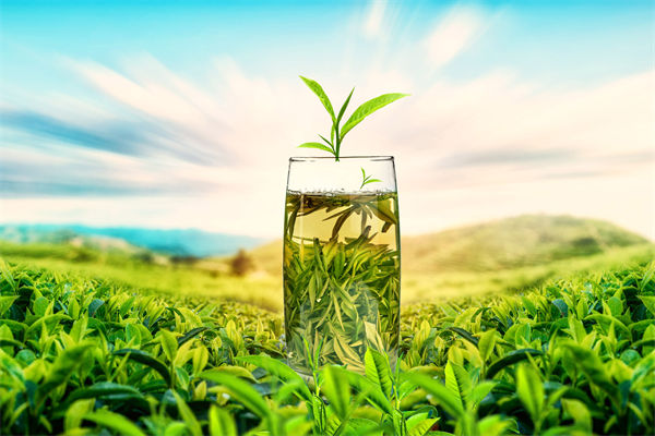 供應鏈管理（lǐ）分析（xī）：多個奶茶品牌回應檢（jiǎn）出反式脂（zhī）肪酸